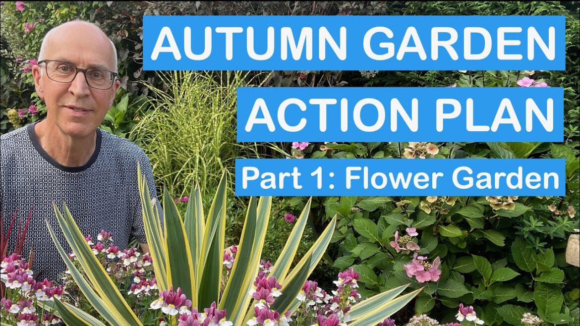 AUTUMN GARDEN ACTION PLAN – Part 1: Flower Garden