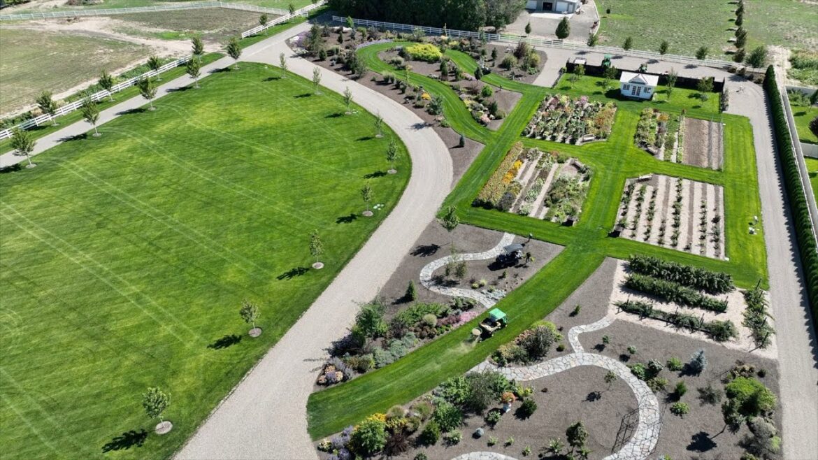 Garden Answer: Raspberry Harvest + Jam, Planting Some 2024 Shrubs & Aaron Talks Lawn Fertilizer! 🥰🙌🌾 Raspberry Harvest + Jam, Planting Some 2024 Shrubs & Aaron Talks Lawn Fertilizer! 🥰🙌🌾