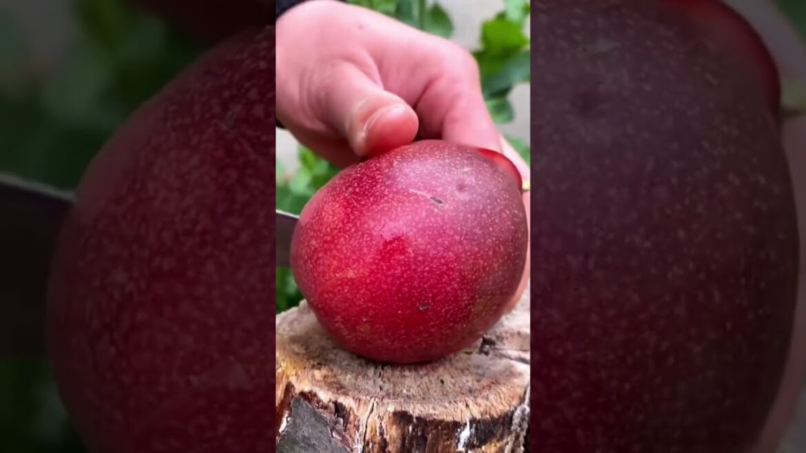 Farm fresh ninja fruit cutting!! #120 #shorts #shortsfeed #viral #fruits #vegetables 🥝🍓🍎🍒🍐🍉