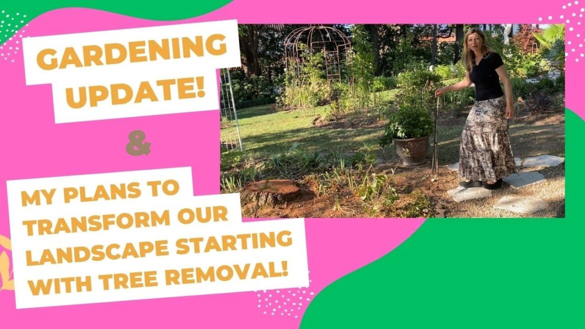 Garden Update: My Plans to transform Our Landscape starting with Tree Removal!