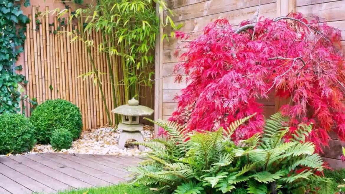 Garden Design Ideas Uk 2023