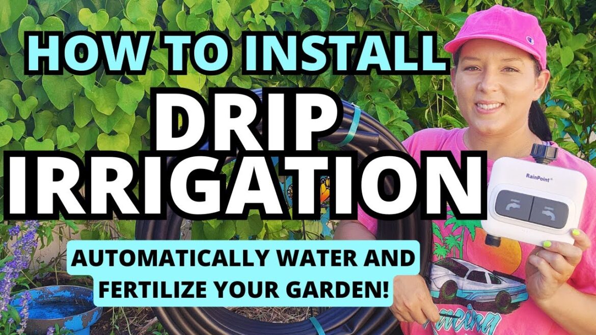 Quick & Easy DIY Drip Irrigation For The Home Backyard Garden #garden #dripirrigation #gardeningtips