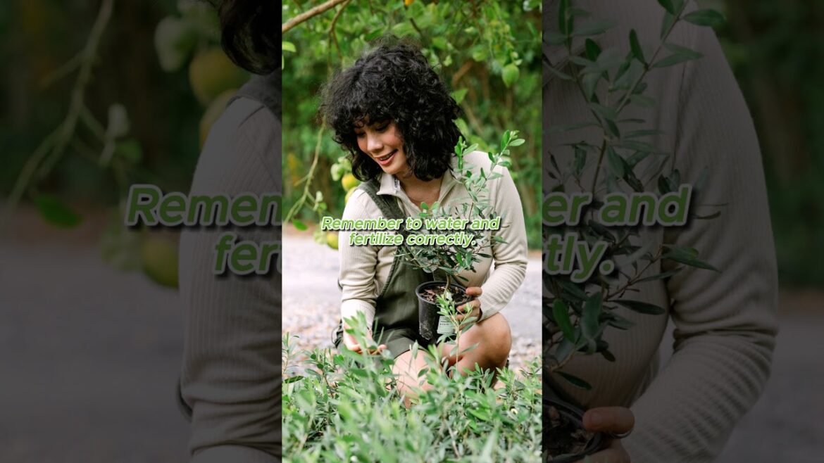 Gardening Tips: Cultivate Your Green Thumb! 🌱🌼#nature #mothernature #plants #tips