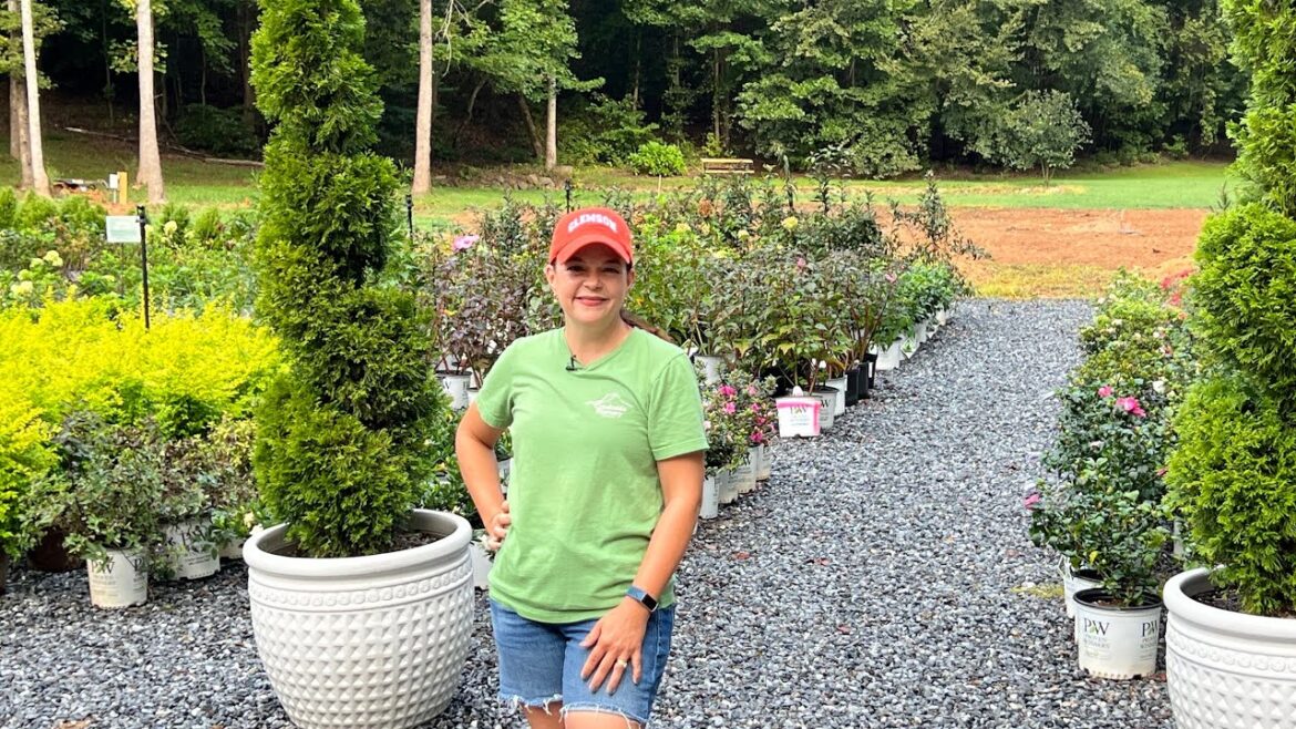 Shrubs, Mums, & Birdhouses Oh My! | Gardening with Creekside