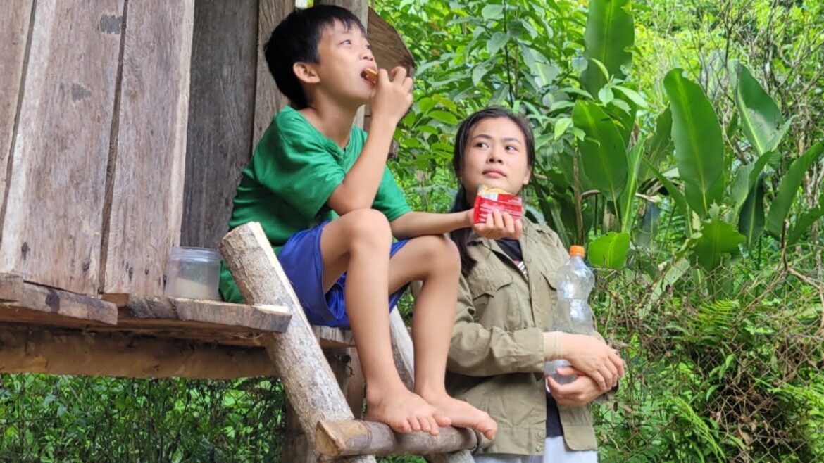 The two sisters hoe the ground to grow vegetables and sow vegetable seeds. Vegetable gardening. The two sisters hoe the ground to grow vegetables and sow vegetable seeds. Vegetable gardening.