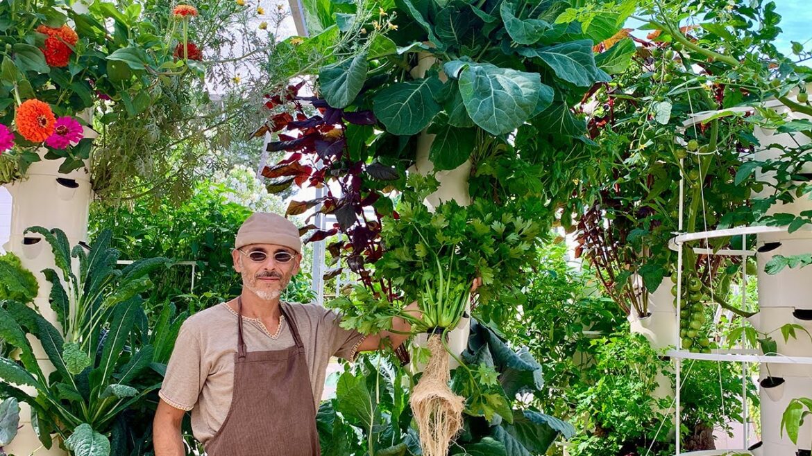 What grows well on a Tower Garden? What grows well on a Tower Garden?