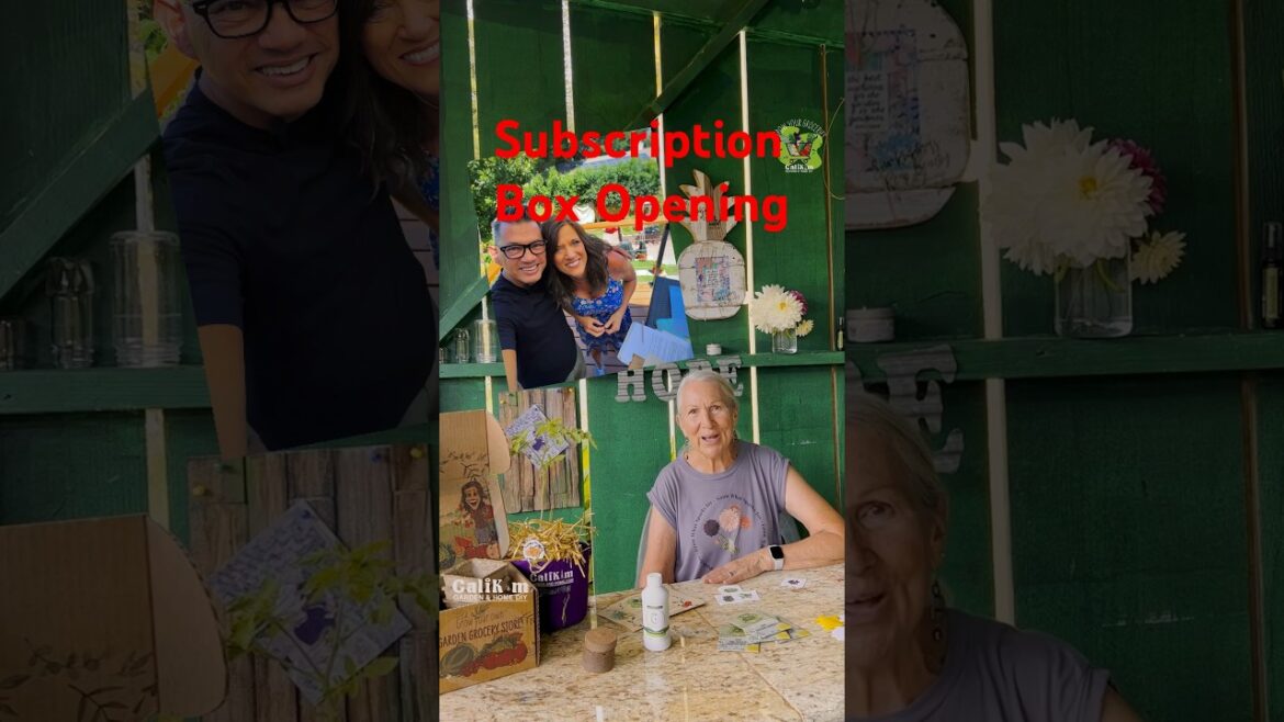 Maui Subscription Box Opening