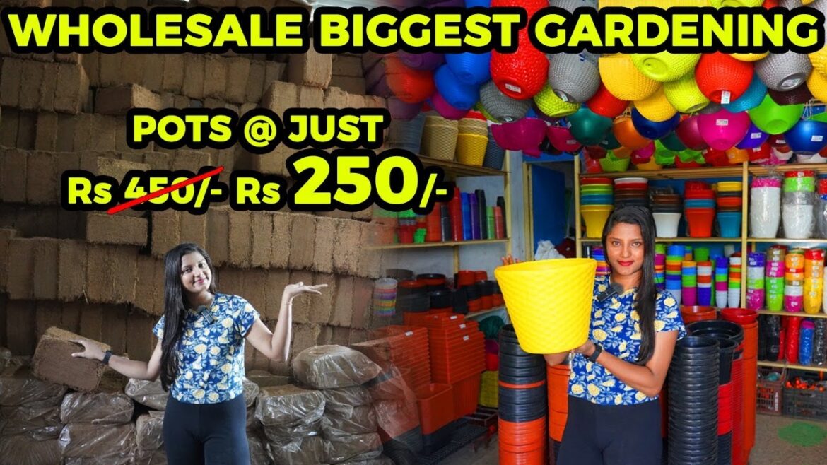 Wholesale Biggest Gardening Product @Chennai