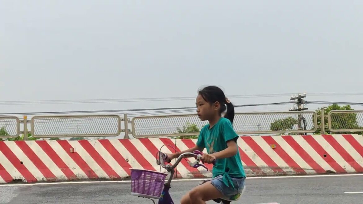 Sustainable Gardening Practices: Eco-Friendly Choices