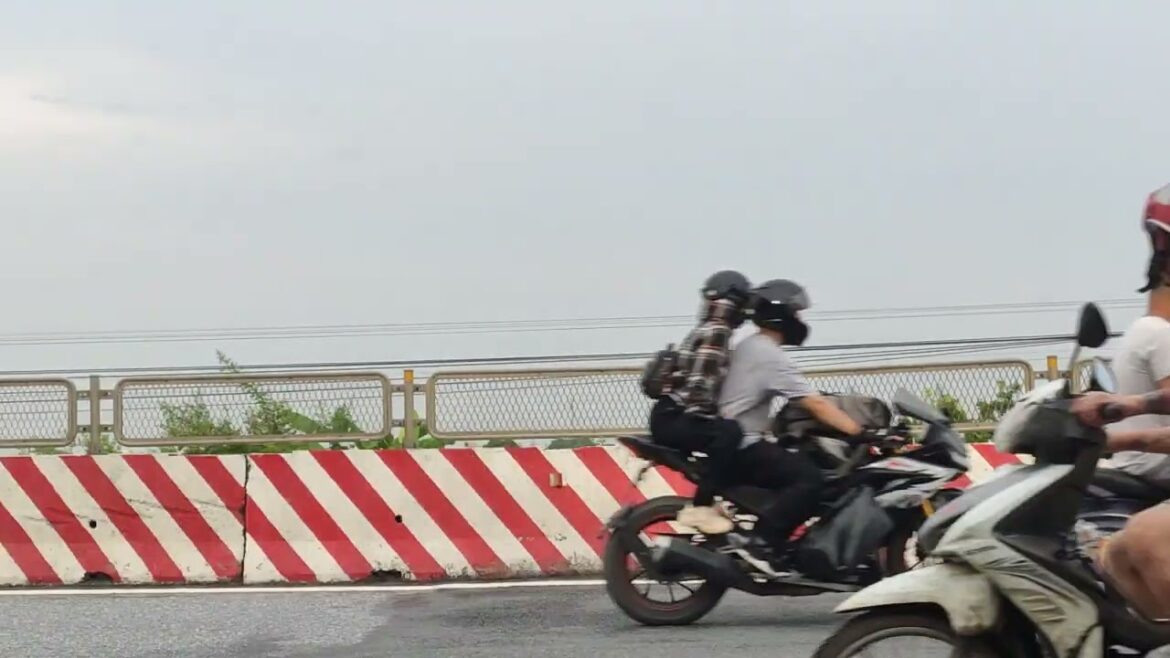 Gardening Tips for Beginners: How to Start Your Own Garden