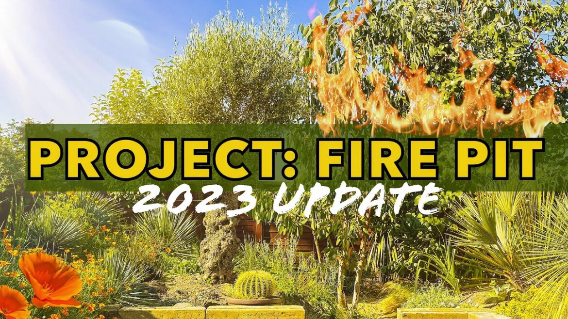 Fire Pit Update 2023 - U.K. Exotic Garden Transformation Planting Reveal!