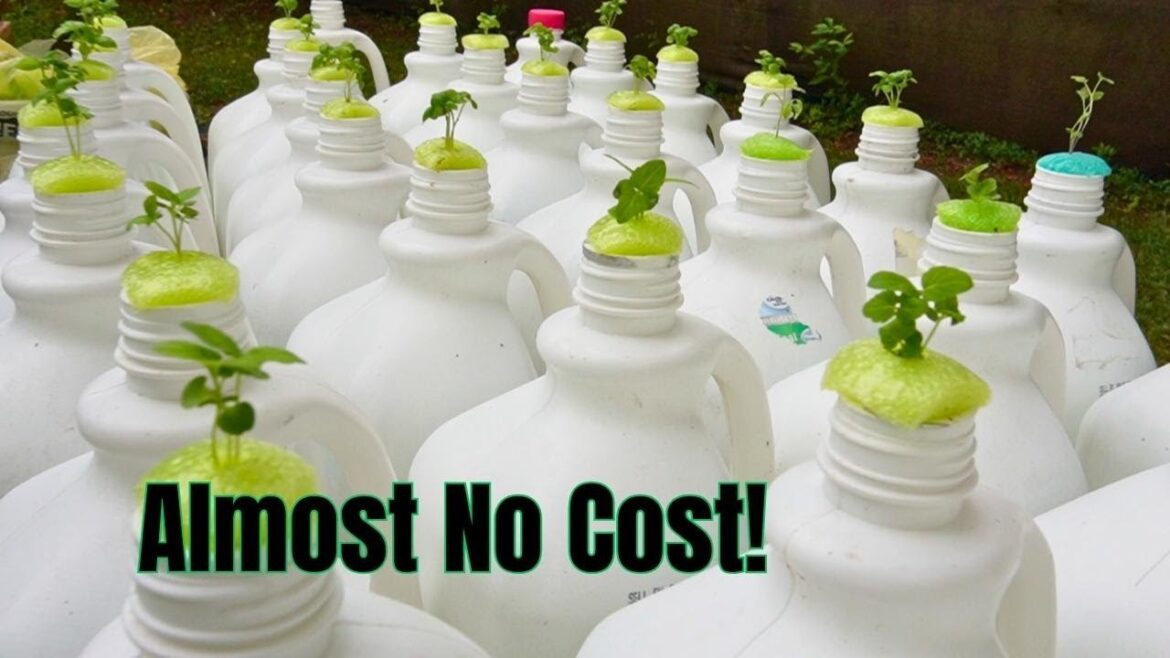 Almost Zero Cost Gardening