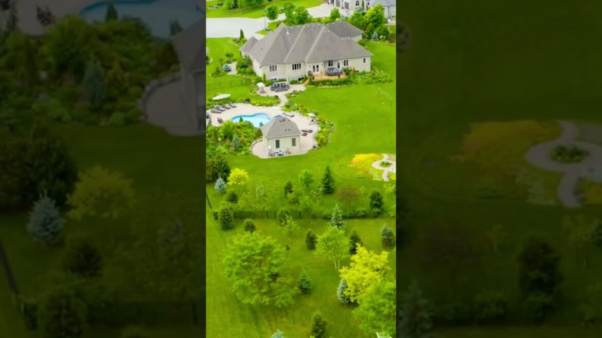 ❤️🌺Stunning Backyard and Pool #backyard #pool #backyardgarden #garden #shorts #gardening #landscape ❤️🌺Stunning Backyard and Pool #backyard #pool #backyardgarden #garden #shorts #gardening #landscape