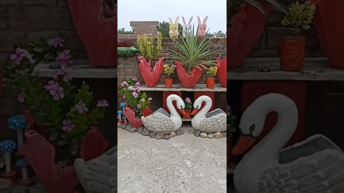 Zero budget Garden makeover/Terrace Gardening in Low Budget/Garden decoration ideas#short