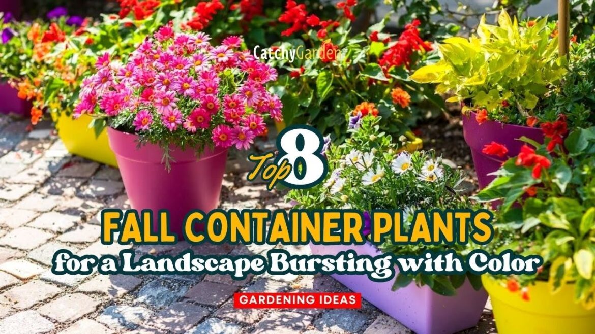 Top 8 Fall Container Plants for a Landscape Bursting with Color 🌻🪴🌹 // Gardening Ideas