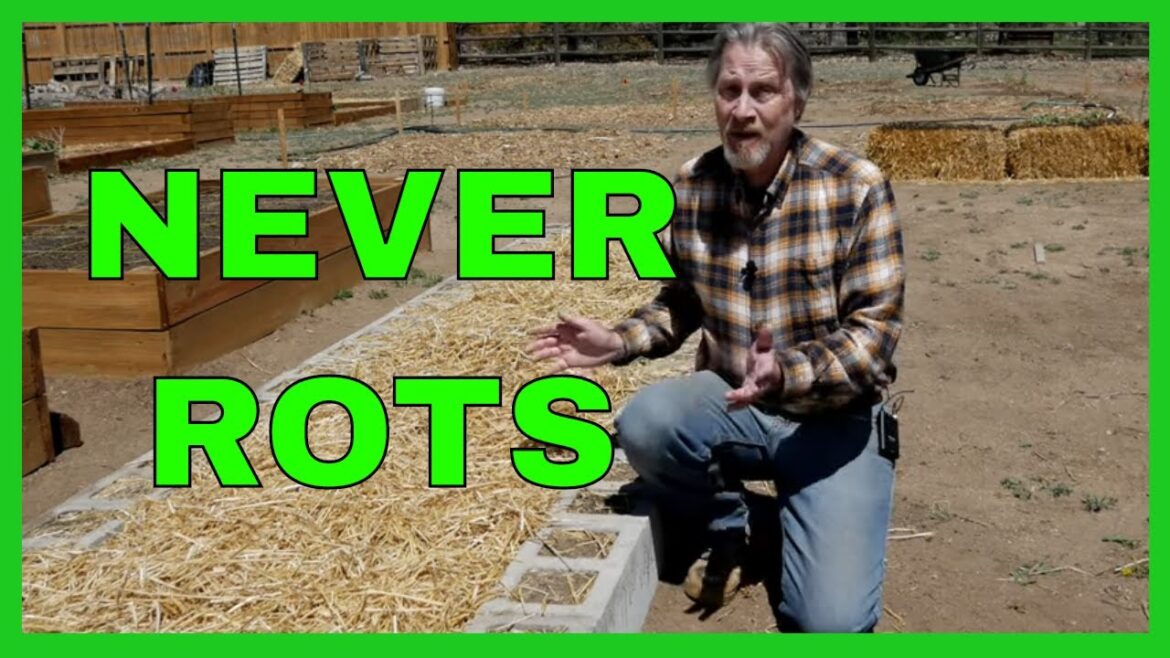 Make a Cinder Block Raised Bed Make a Cinder Block Raised Bed