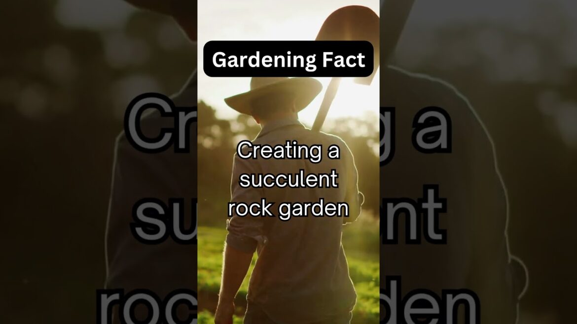 How to make a succulent rock garden: Tips and tricks from a gardening channel. #shorts #garden