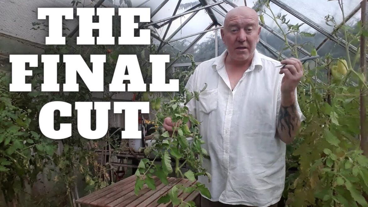 The Final Cut [Gardening Allotment UK] [Grow Vegetables At Home ]