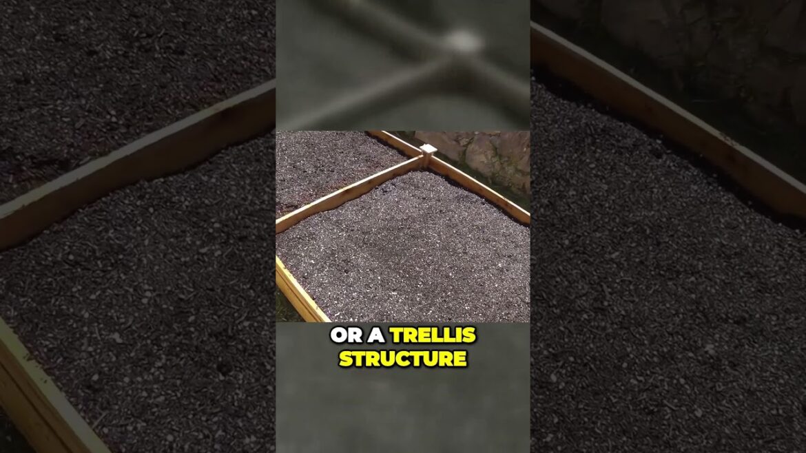 California Gardening: Selecting Raised Bed Materials | Gardening Shorts Selecting Raised Bed Materials | Gardening Shorts