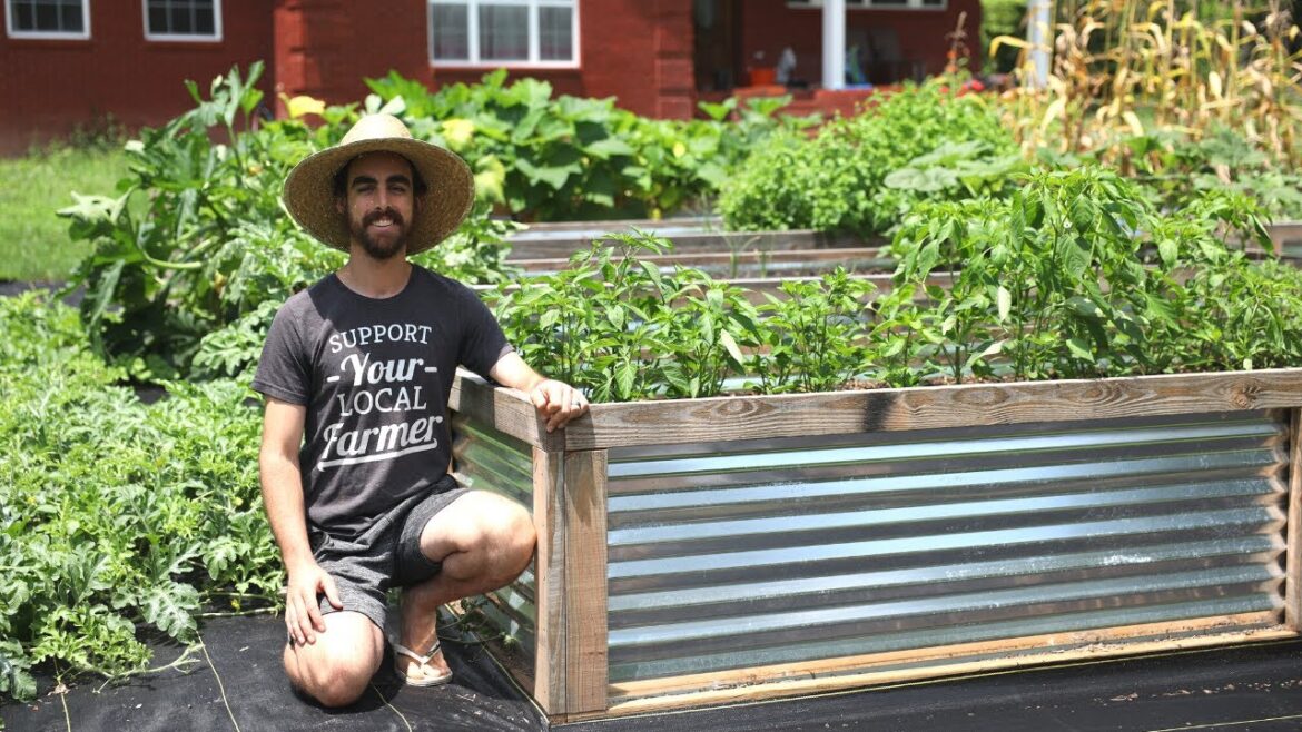 Beautiful DIY Metal Raised Garden Beds | Complete Guide Beautiful DIY Metal Raised Garden Beds | Complete Guide