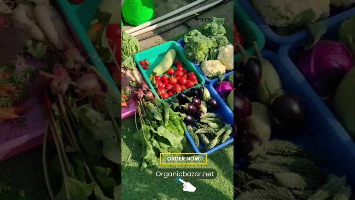 Buy Gardening Products Online #shorts #gardening #vegetablegardening