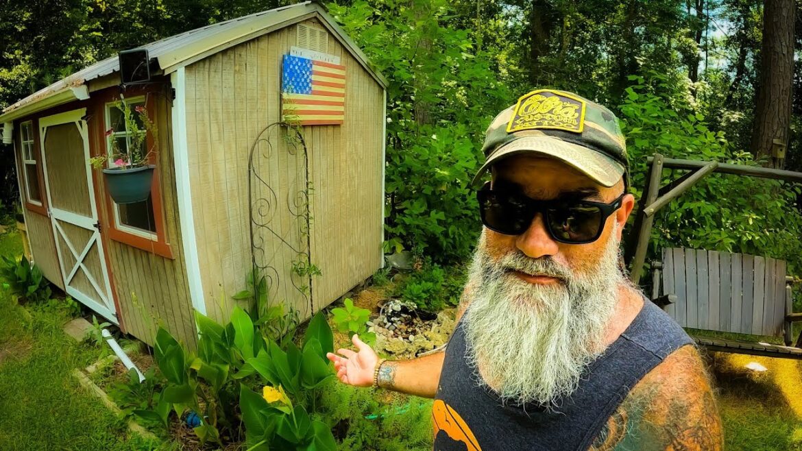 seeds for our budget pollinators garden seeds for our budget pollinators garden