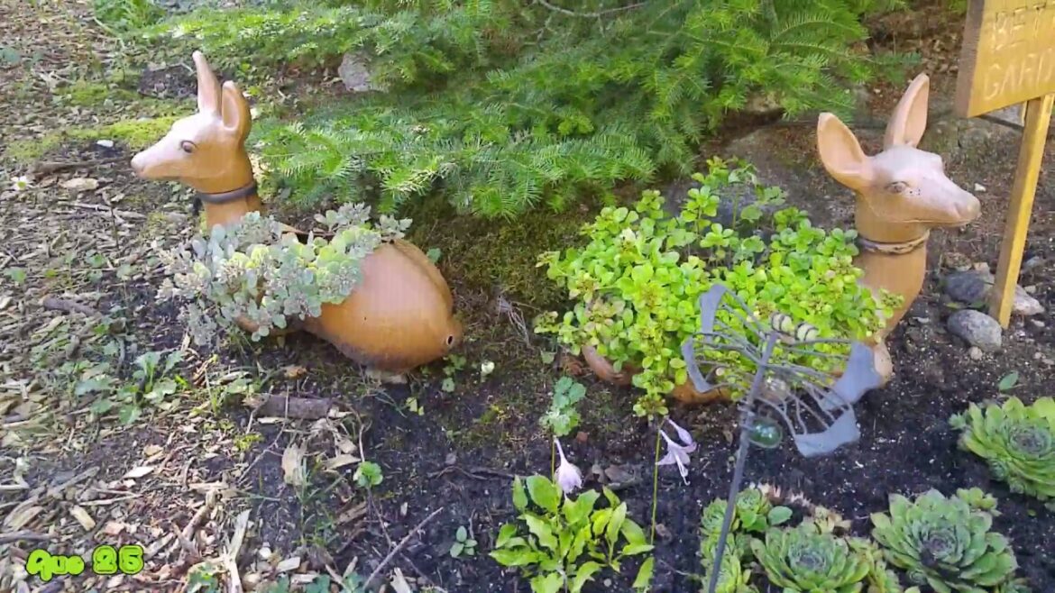 Vegetable Gardening Series pt6 Beet + Cucumber Harvest (2016)