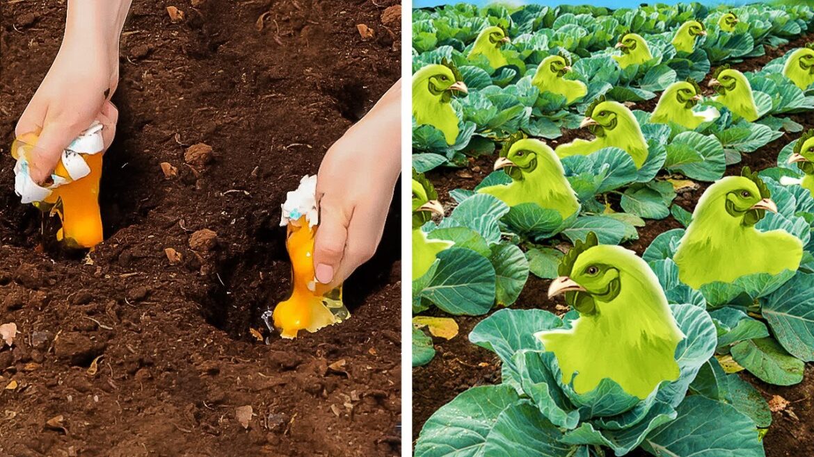 Gardening Tips: Crazy but Useful Ideas for Planting Routine ๐งโ๐พ Gardening Tips: Crazy but Useful Ideas for Planting Routine ๐งโ๐พ