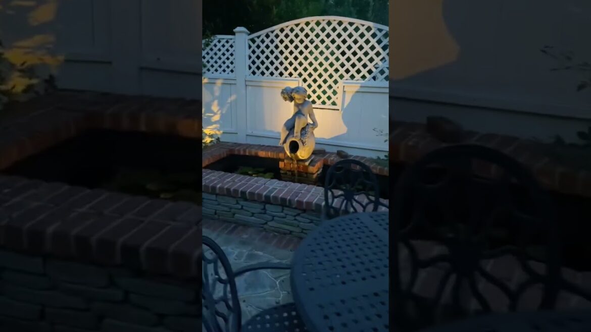Backyard courtyard landscape lighting installation Raleigh NN Backyard courtyard landscape lighting installation Raleigh NN