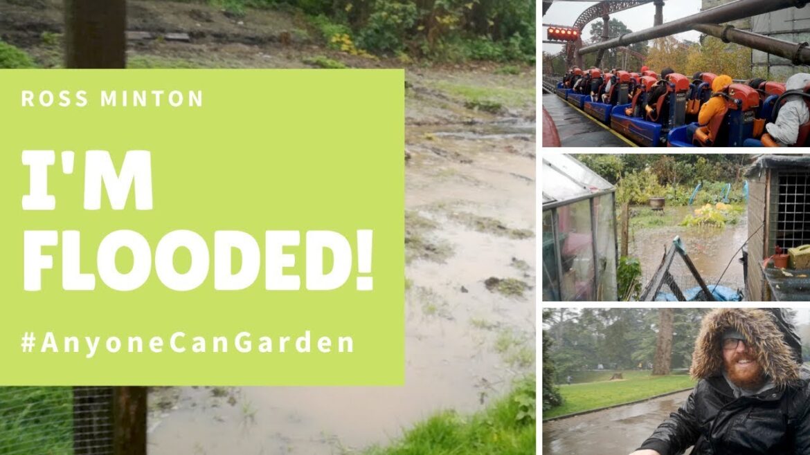 I'm Flooded! - Gardening ideas - vegetable gardening - portable mobility scooter