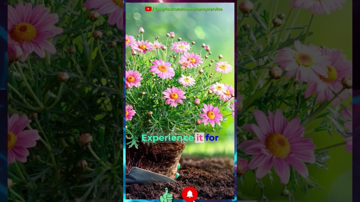 Bamboo Slot: Innovative Watering Technique for Greener Gardens #gardening #agriculture