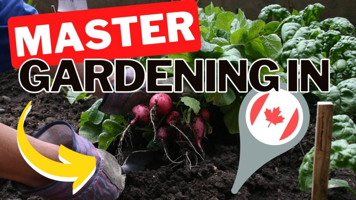 Canadian Gardening Start To Finish. Cold Climate Gardening Tips | Gardening In Canada 🌿🥳 Canadian Gardening Start To Finish. Cold Climate Gardening Tips | Gardening In Canada 🌿🥳