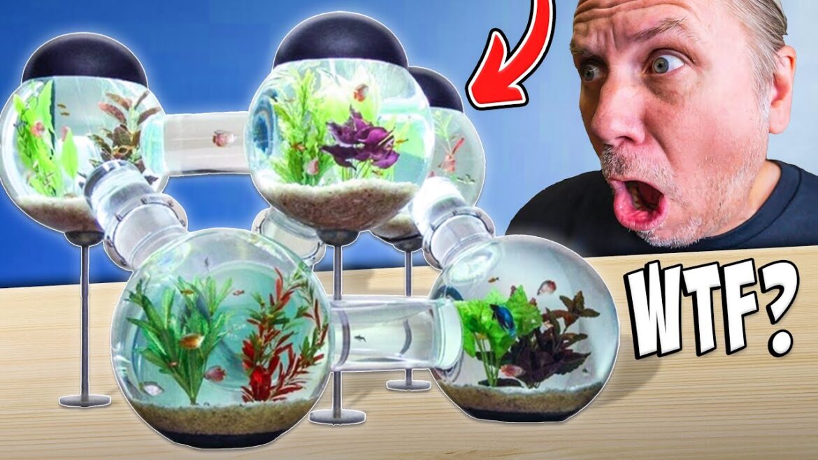 Check Out These Awesome Aquariums For Legesea Aquarium! Check Out These Awesome Aquariums For Legesea Aquarium!