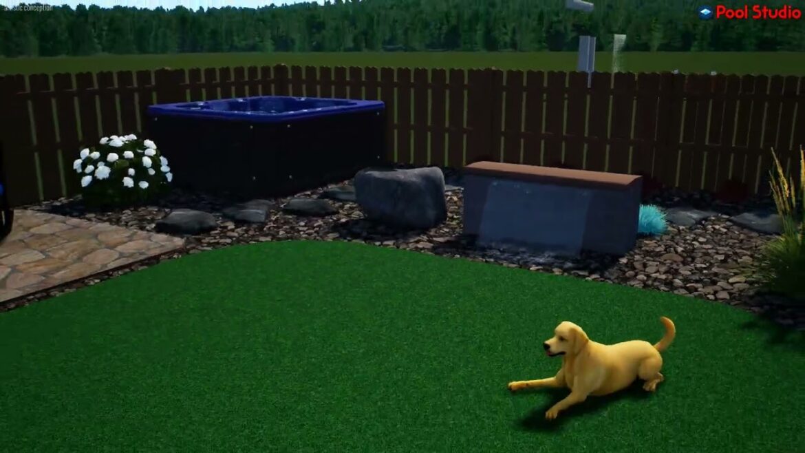 Backyard landscape design