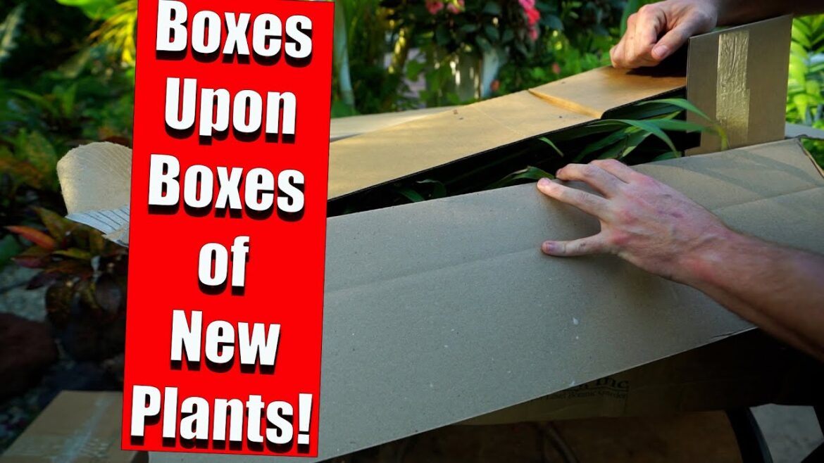 10 New Tropical Looking Plants For My Zone 6 Garden || Plant Delights Haul