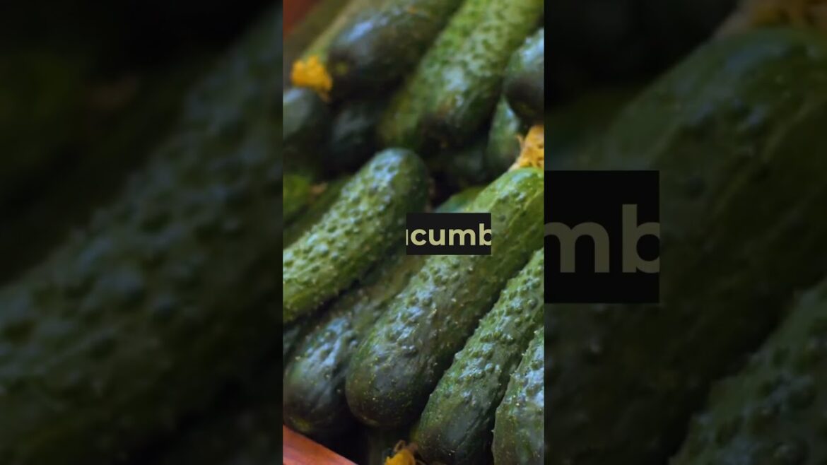 Maryland - Top 10 Garden Vegetables  #MarylandGardening  #MarylandClimate #VegetableGardening