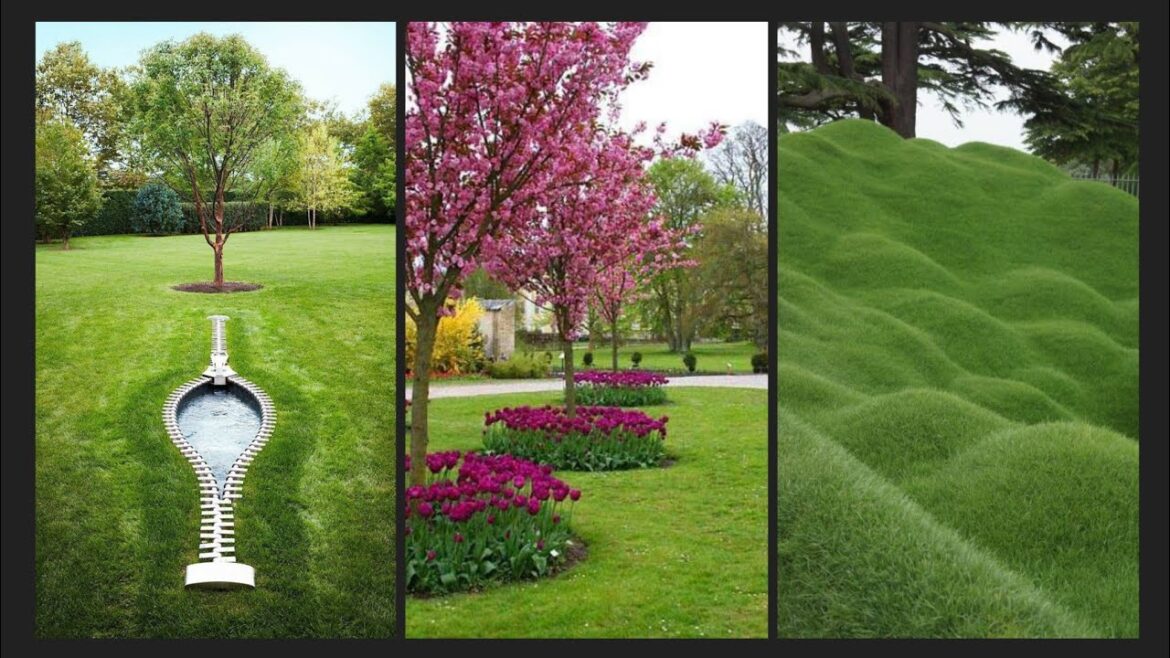 grassy plots design -  grass backyard landscaping ideas