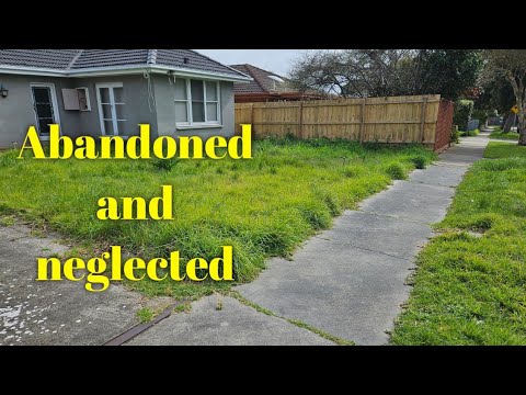 ABANDONED house clean up | part 1 – WET and OVERGROWN front yard. ABANDONED house clean up | part 1 - WET and OVERGROWN front yard.