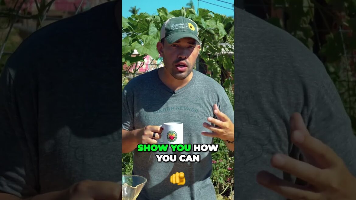 Grow your own coffee at home and savor the ultimate homegrown cup Grow your own coffee at home and savor the ultimate homegrown cup