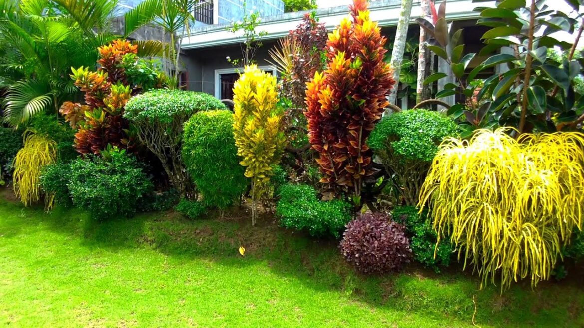 3 IDEAL AND BEAUTIFUL VILLAGE HOUSE GARDENS/GAVE YOU MORE GARDENING IDEAS 3 IDEAL AND BEAUTIFUL VILLAGE HOUSE GARDENS/GAVE YOU MORE GARDENING IDEAS