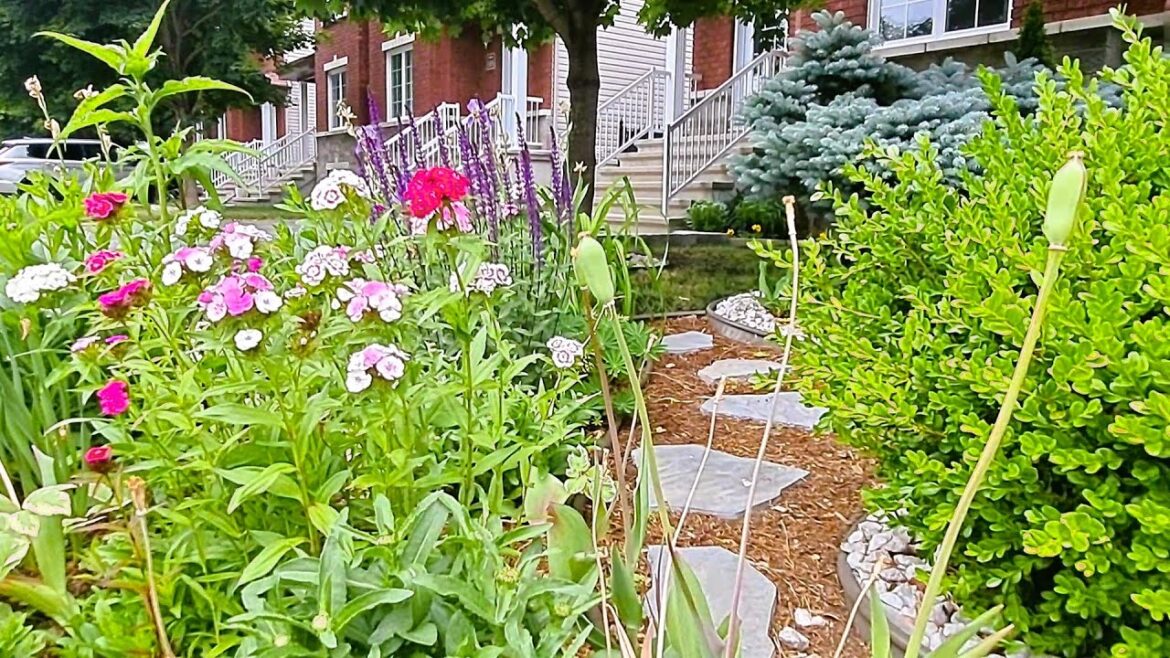 Front yard Garden Tour | The Garden in Progress | #gardentour #garden #gardening #relaxing #new