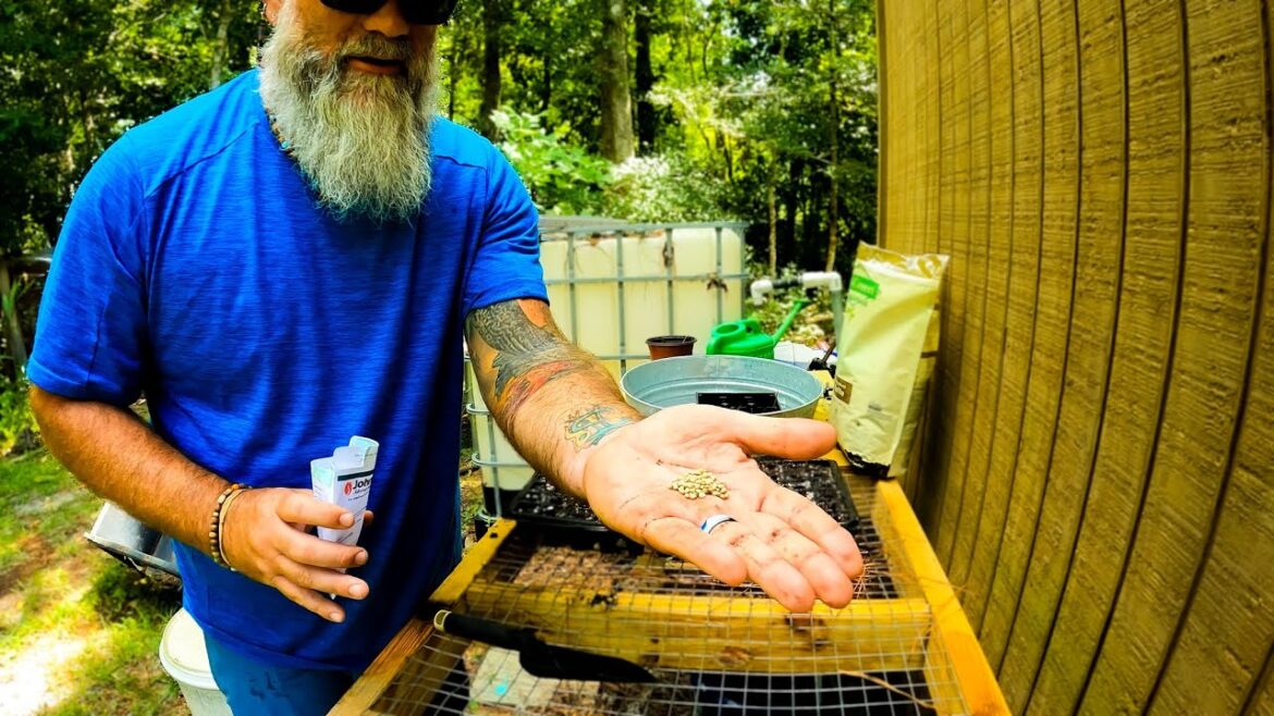 No storm can keep us from planting our fall garden