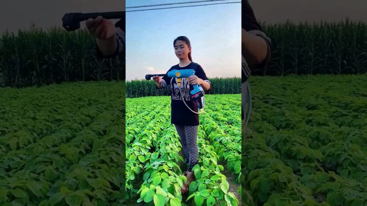 Enjoy Beautiful Nature With Rural Life # 83 #shorts #agriculture #modernfarmer #youtbeshorts Enjoy Beautiful Nature With Rural Life # 83 #shorts #agriculture #modernfarmer #youtbeshorts