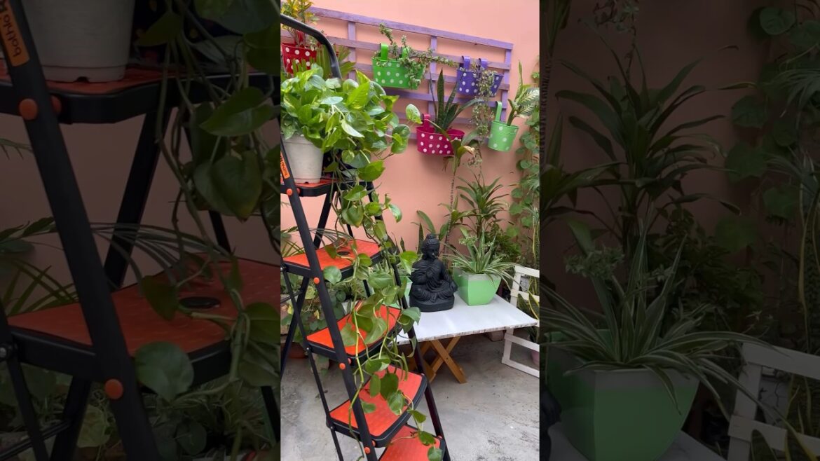 Small Garden Design ideas in India  #balconydecor #balconydecorideas #gardendecorideas #shorts