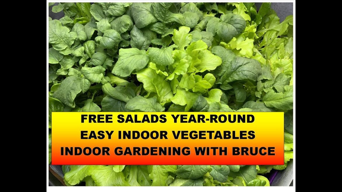 INDOOR VEGETABLE GARDENING: CONTAINERS AND LIGHTS INDOOR VEGETABLE GARDENING: CONTAINERS AND LIGHTS