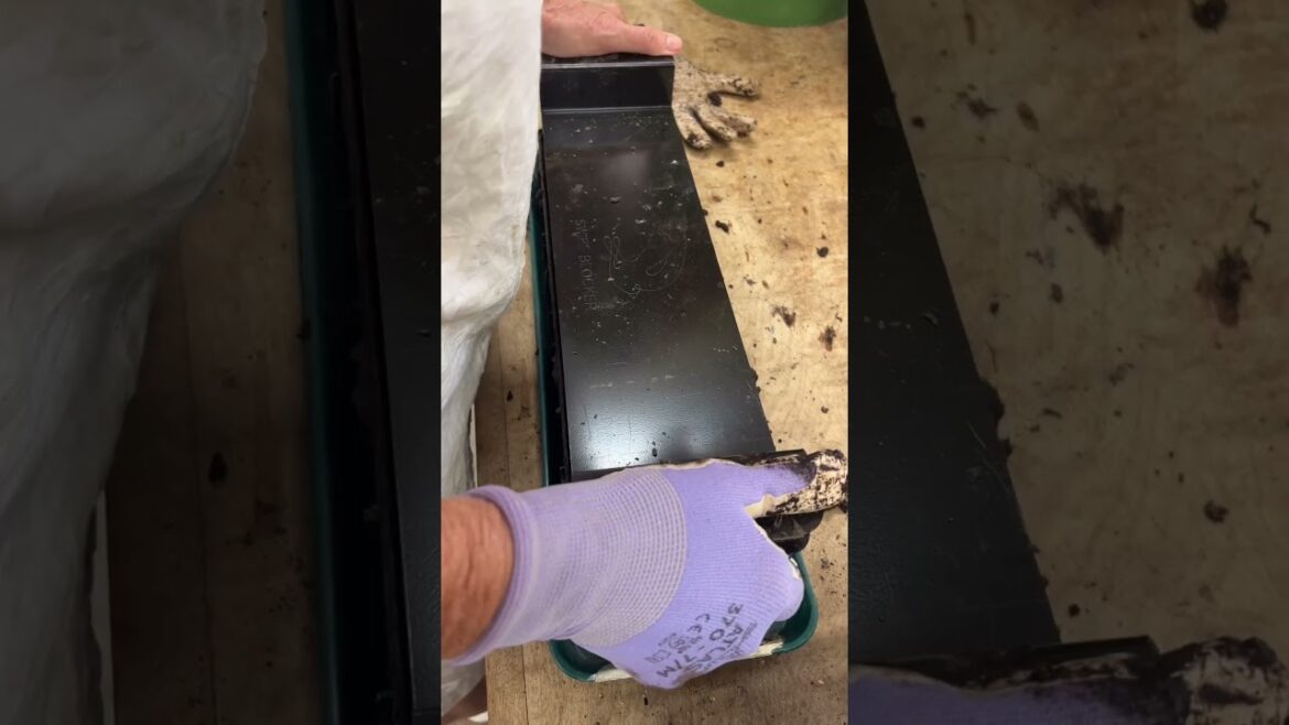 Bobo is making soil blocks with the @swiftblocker Mini-27 for larger seeds today. Bobo is making soil blocks with the @swiftblocker Mini-27 for larger seeds today.