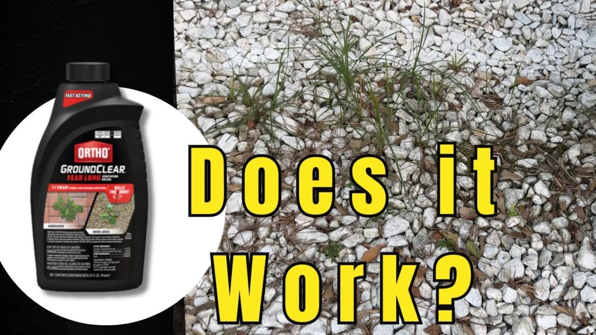 Black Ortho Weed Killer Review | My thoughts on Ortho GroundClear Concentrate Weed Killer