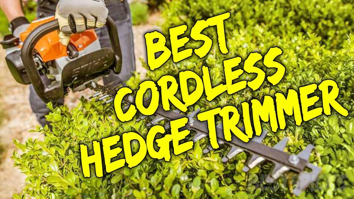 Best Cordless Hedge Trimmer 2020 – Top 5 Hedge Trimmer Picks For Gardening Best Cordless Hedge Trimmer 2020 - Top 5 Hedge Trimmer Picks For Gardening