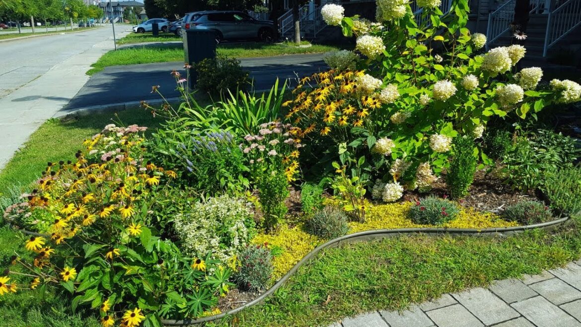 PERENNIAL GARDEN TOUR Relaxing New Day In Our front yard Garden #garden #gardentour  #gardening #new