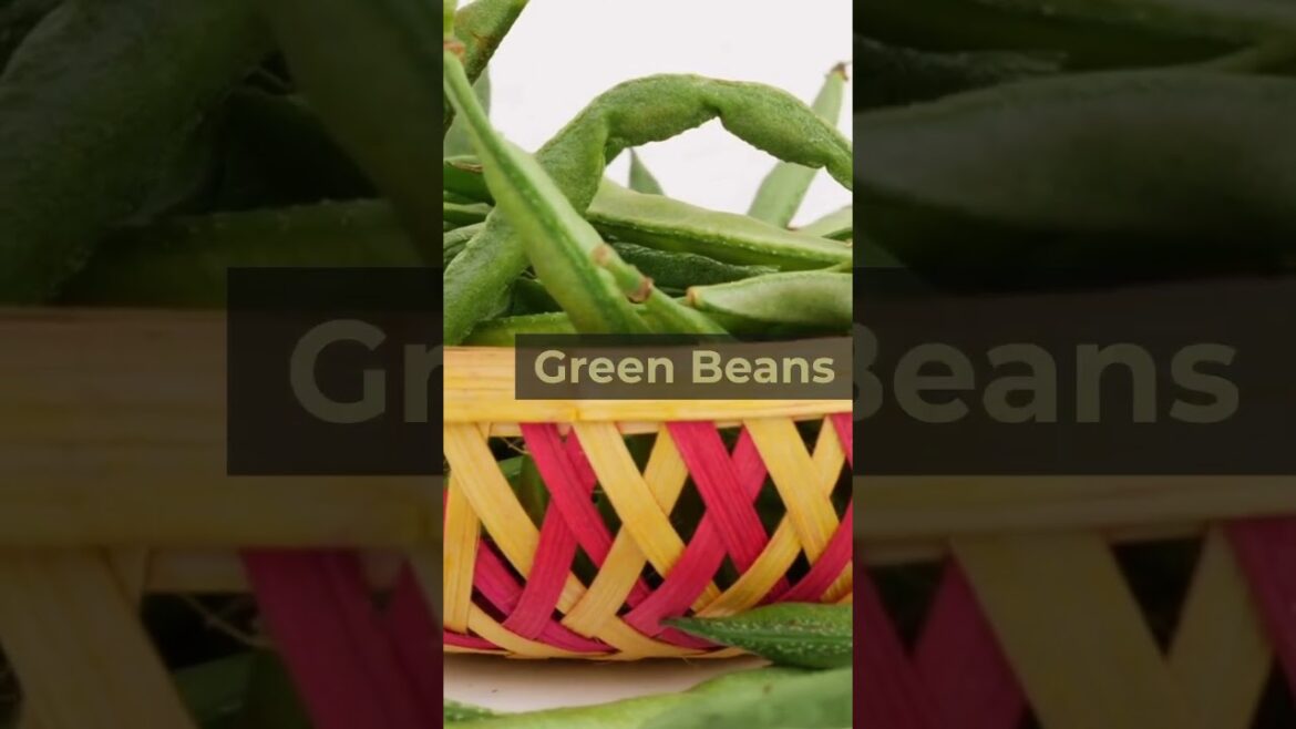 Massachusetts - Top 10 Garden Vegetables  #MassachusettsGardening  #VegetableGardening